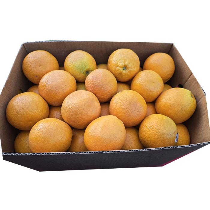 Australian Mango 64 Count